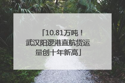 10.81万吨！武汉阳逻港直航货运量创十年新高