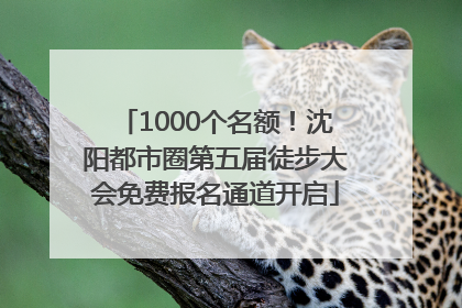 1000个名额！沈阳都市圈第五届徒步大会免费报名通道开启
