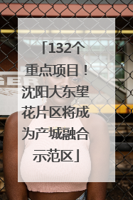 132个重点项目！沈阳大东望花片区将成为产城融合示范区