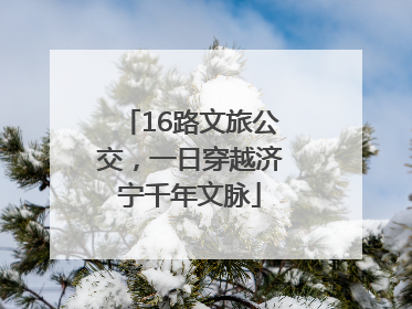 16路文旅公交，一日穿越济宁千年文脉