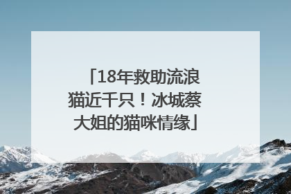 18年救助流浪猫近千只！冰城蔡大姐的猫咪情缘