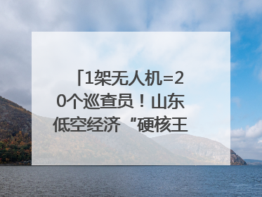 1架无人机=20个巡查员！山东低空经济“硬核王炸”亮相青岛，下一个万亿赛道藏在这里