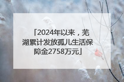 2024年以来，芜湖累计发放孤儿生活保障金2758万元