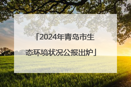 2024年青岛市生态环境状况公报出炉