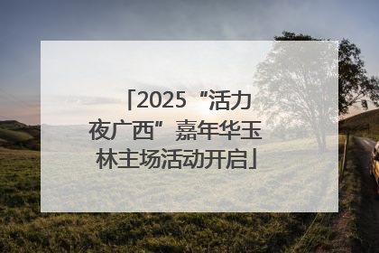 2025“活力夜广西”嘉年华玉林主场活动开启