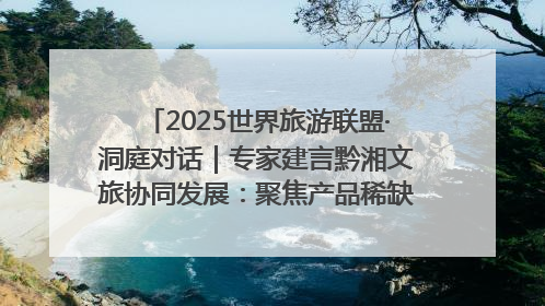 2025世界旅游联盟·洞庭对话｜专家建言黔湘文旅协同发展：聚焦产品稀缺性 深化区域经验共享