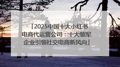 2025中国十大小红书电商代运营公司：十大领军企业引领社交电商新风向