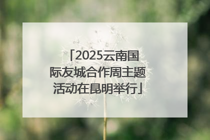 2025云南国际友城合作周主题活动在昆明举行