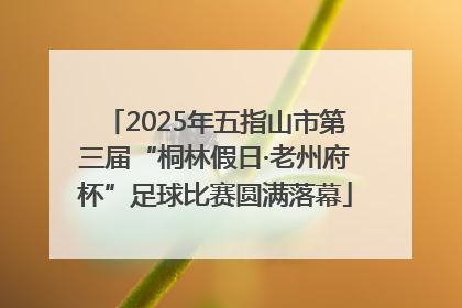 2025年五指山市第三届“桐林假日·老州府杯”足球比赛圆满落幕