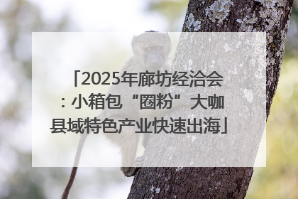 2025年廊坊经洽会：小箱包“圈粉”大咖 县域特色产业快速出海