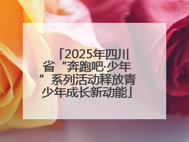 2025年四川省“奔跑吧·少年”系列活动释放青少年成长新动能