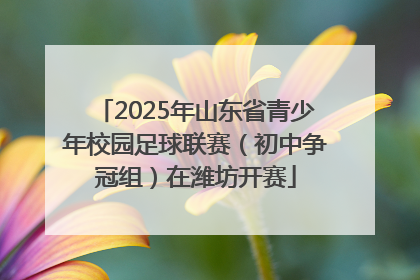 2025年山东省青少年校园足球联赛（初中争冠组）在潍坊开赛