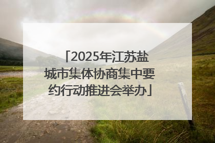 2025年江苏盐城市集体协商集中要约行动推进会举办