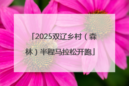 2025双辽乡村（森林）半程马拉松开跑