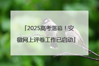 2025高考落幕！安徽网上评卷工作已启动
