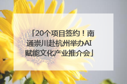 20个项目签约！南通崇川赴杭州举办AI赋能文化产业推介会