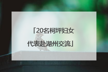 20名柯坪妇女代表赴湖州交流