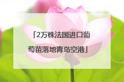 2万株法国进口葡萄苗落地青岛空港