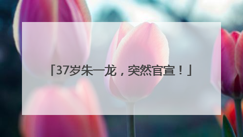 37岁朱一龙，突然官宣！