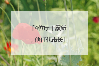 4位厅干履新，他任代市长