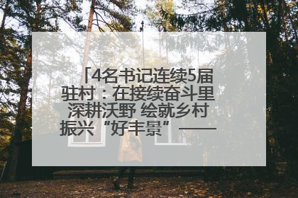 4名书记连续5届驻村：在接续奋斗里深耕沃野 绘就乡村振兴“好丰景”——浦发银行南京分行助力脱贫攻坚、帮促乡村振兴记事（二）