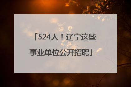 524人！辽宁这些事业单位公开招聘