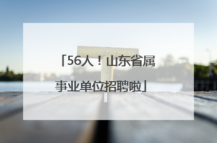 56人！山东省属事业单位招聘啦