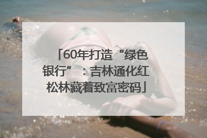 60年打造“绿色银行”：吉林通化红松林藏着致富密码