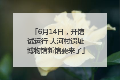 6月14日，开馆试运行 大河村遗址博物馆新馆要来了