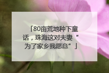 80亩荒地种下童话，珠海这对夫妻“为了家乡我愿意”