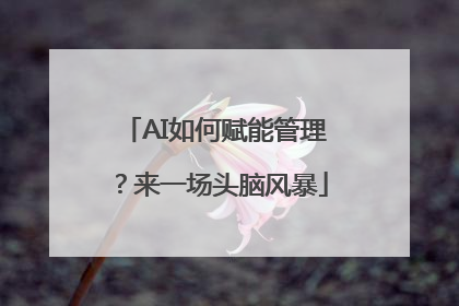 AI如何赋能管理？来一场头脑风暴