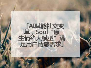 AI赋能社交变革，Soul“原生情绪大模型”满足用户情感需求