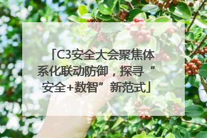 C3安全大会聚焦体系化联动防御，探寻“安全+数智”新范式