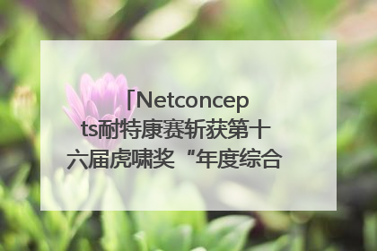 Netconcepts耐特康赛斩获第十六届虎啸奖“年度综合服务商”大奖