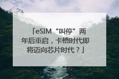 eSIM“叫停”两年后重启，卡槽时代即将迈向芯片时代？